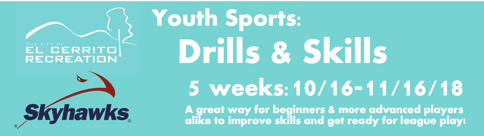 Youth Sports Drills and Skills